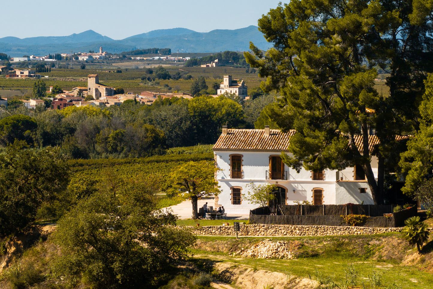 Pack d'estada a Mas Grimosach, visita i tast al celler i ruta en bicicleta