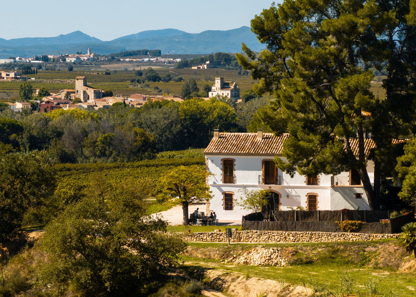 FLAG TASTING + WINES
