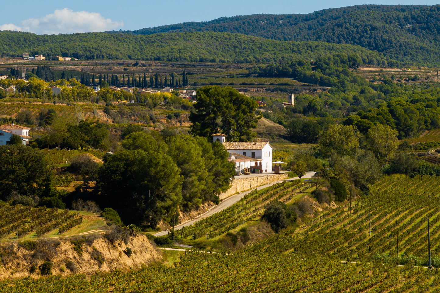 Pack d'estada a Mas Grimosach i visita "Tots els Colors de la Vinya"