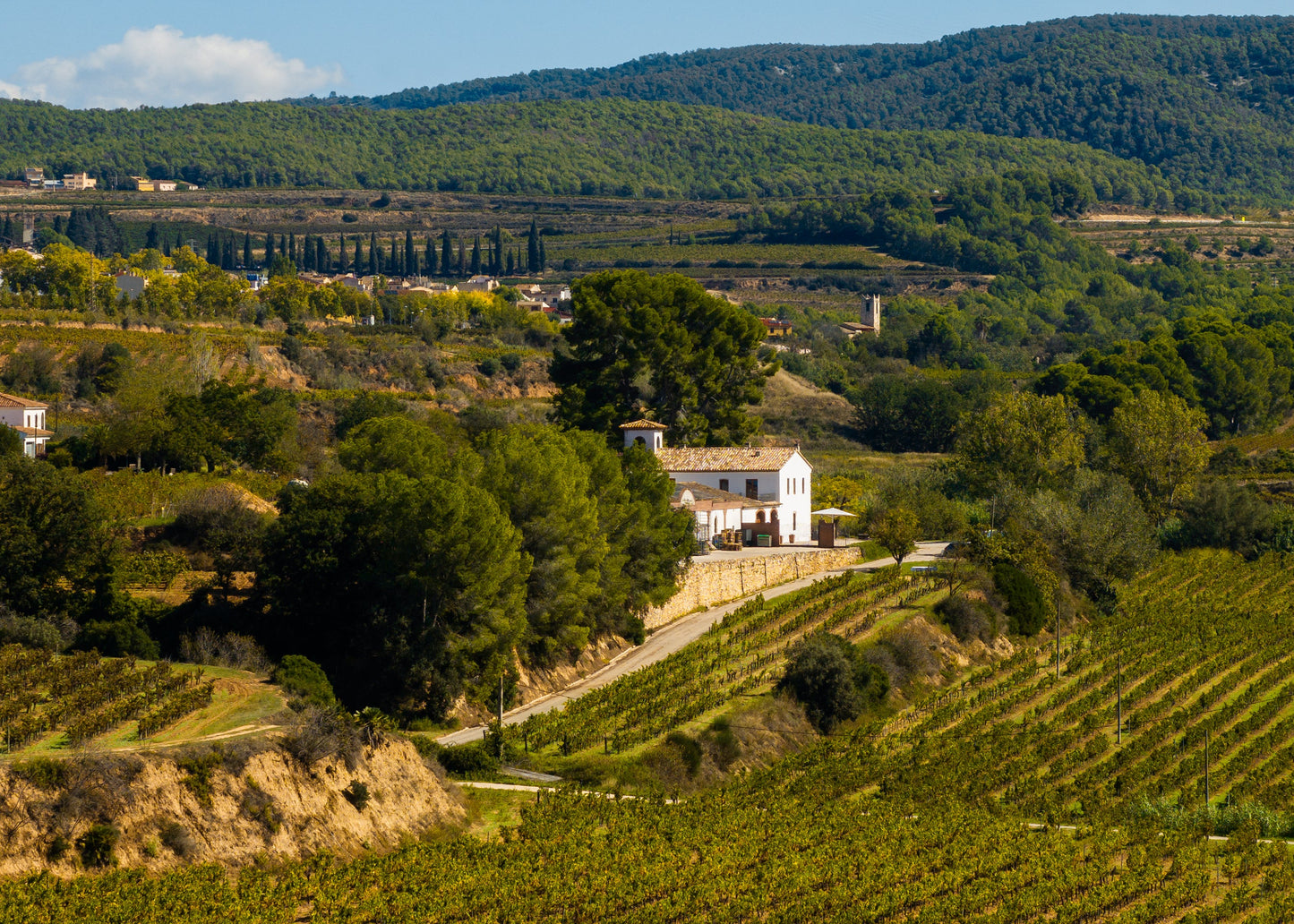 Pack d'estada a Mas Grimosach i visita "Tots els Colors de la Vinya"