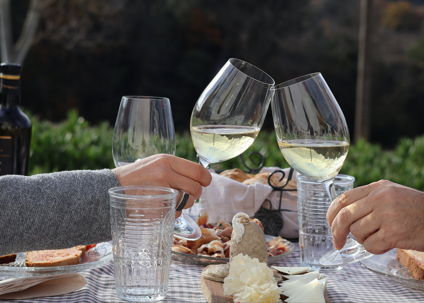 Visita la bodega y comida de tapas