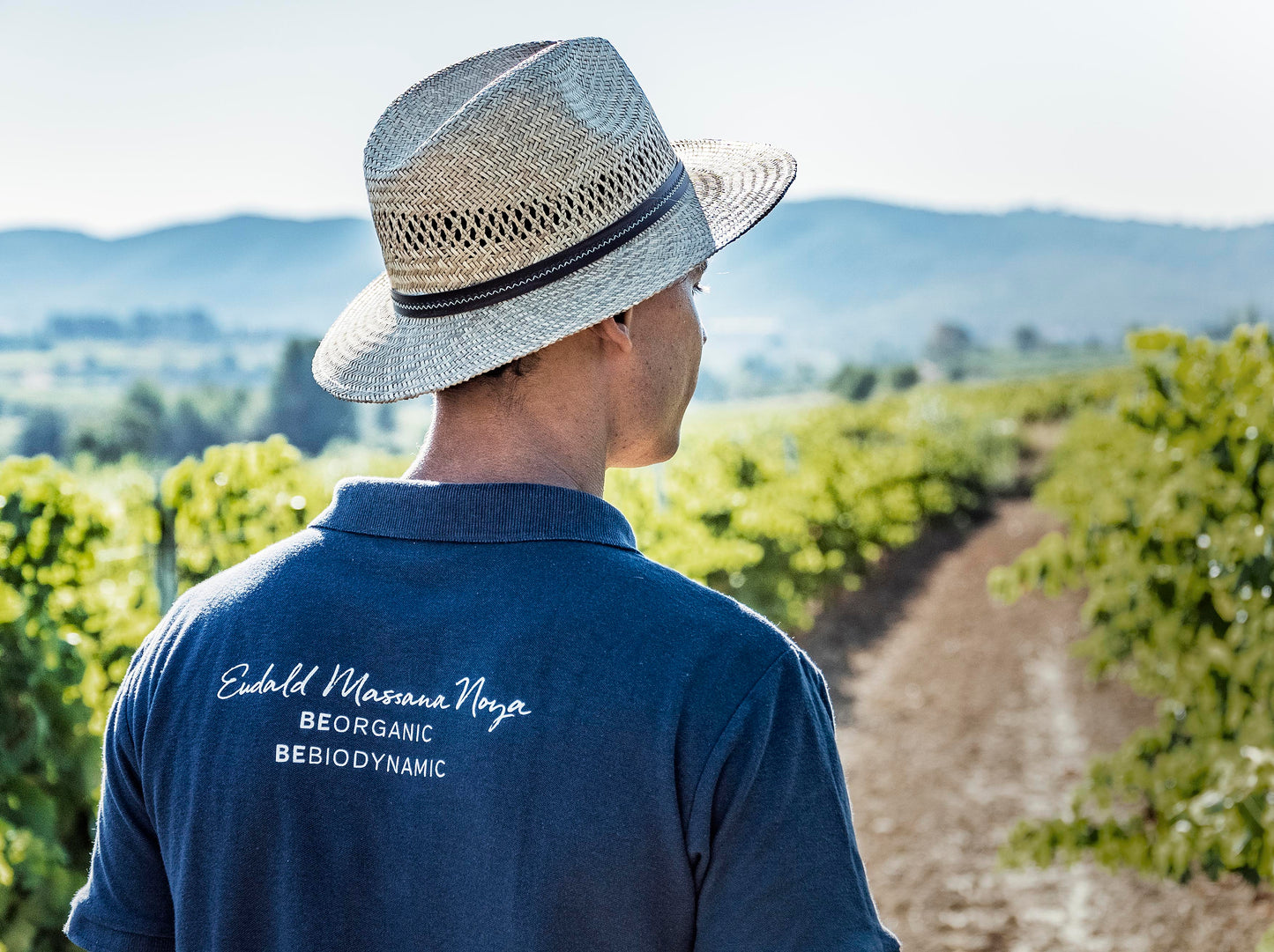 El Sabor del Viñedo