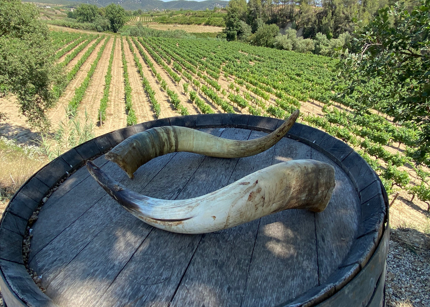 Aventura Biodinámica