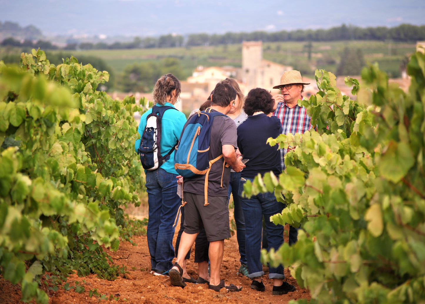 Tots els colors de la vinya