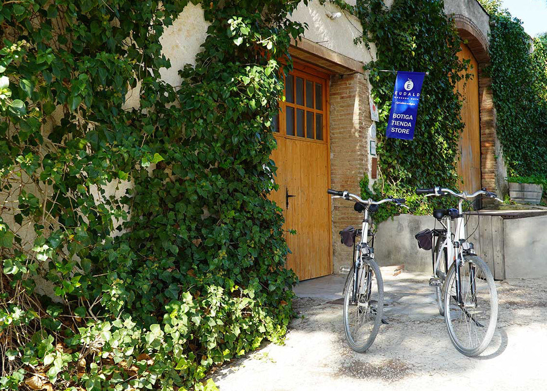 Visita sostenible al Celler Eudald Massana