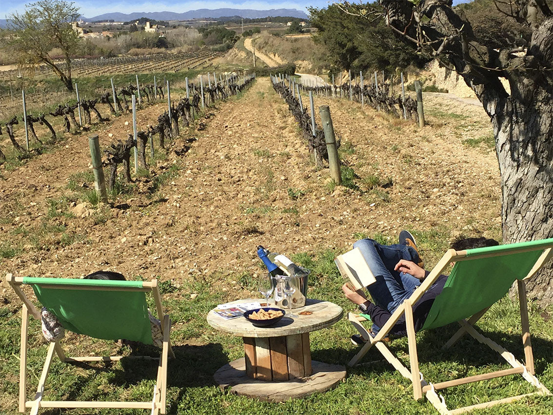 Vitilectura enoturisme al celler eudald massana noya