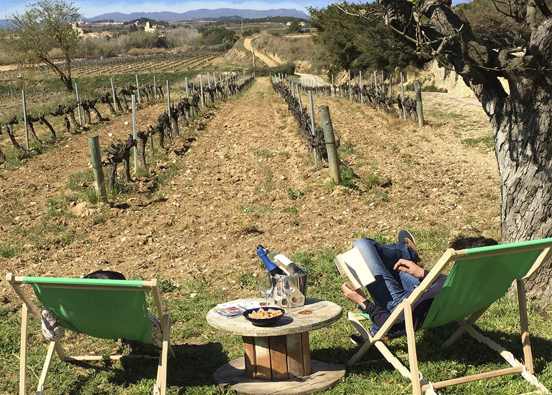 Vitilectura enoturisme al celler eudald massana noya