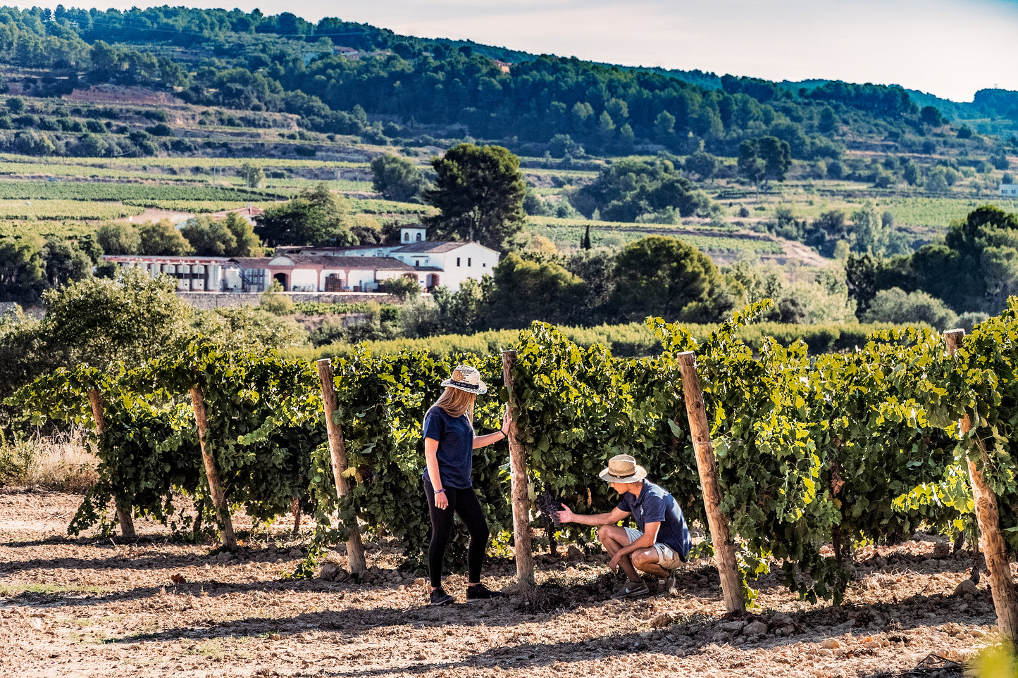 Regala territori, Vals regals visites, tasts i enoturisme