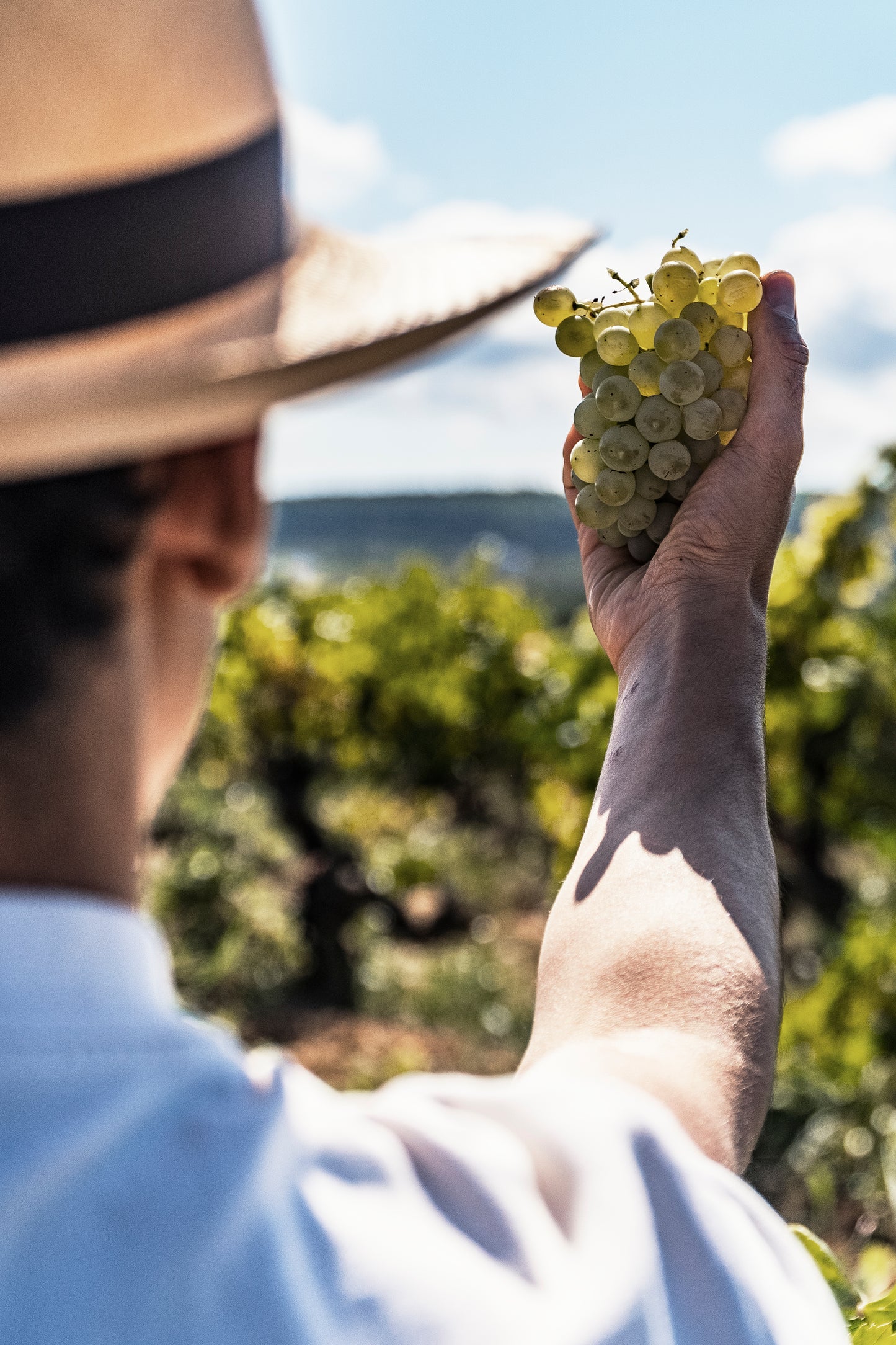 Regala territori, Vals regals visites, tasts i enoturisme