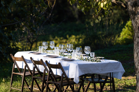 Esmorzar - dinar al jardí del celler amb visita