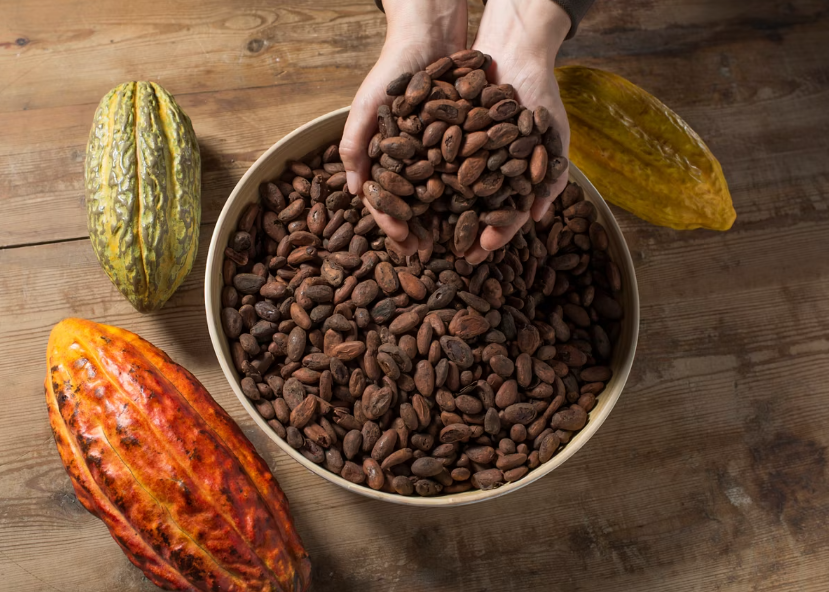 Combina tu desayuno en Eudald Massana con una visita en Simón Coll