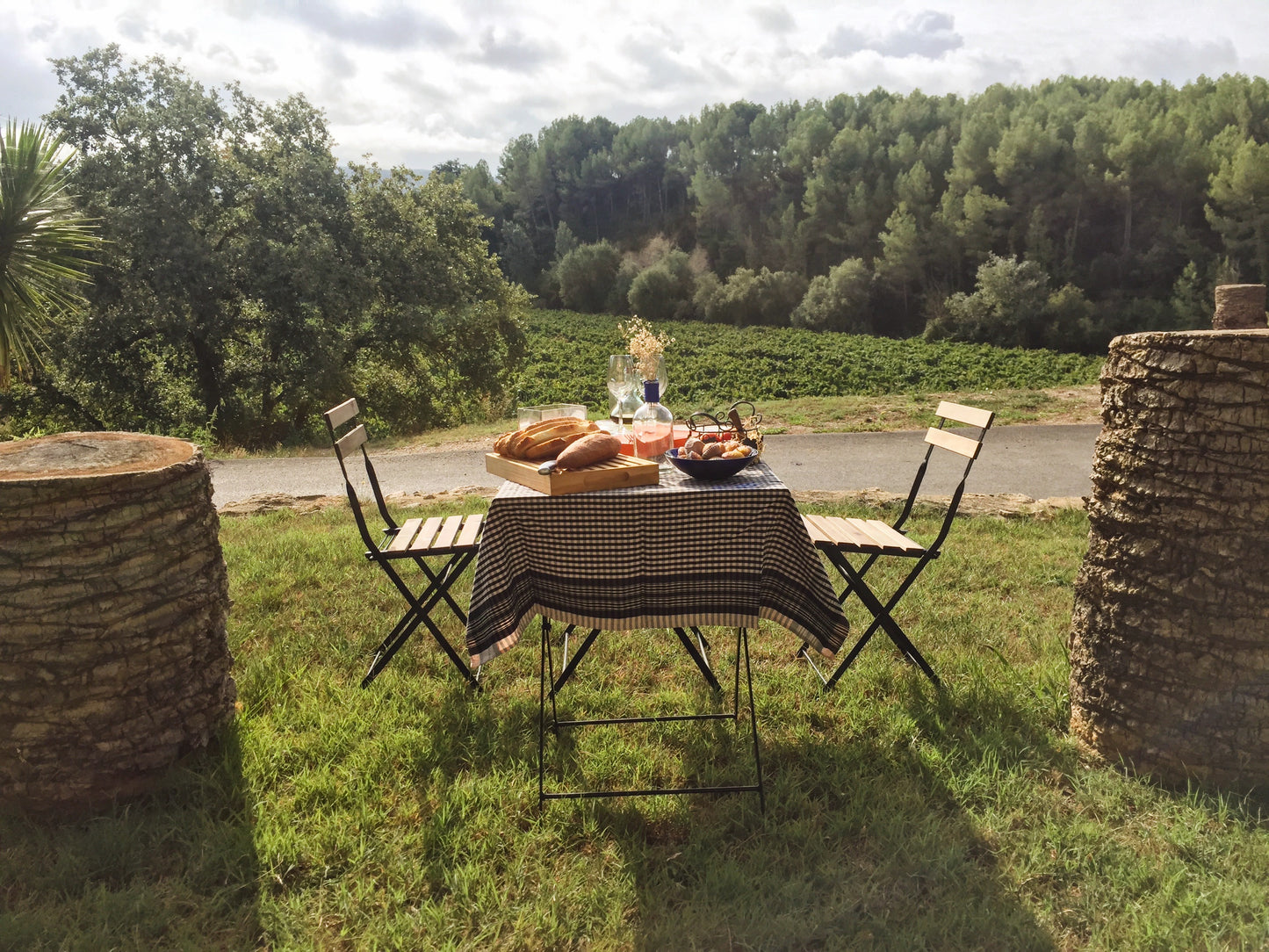 Desayuno en el jardín de la bodega